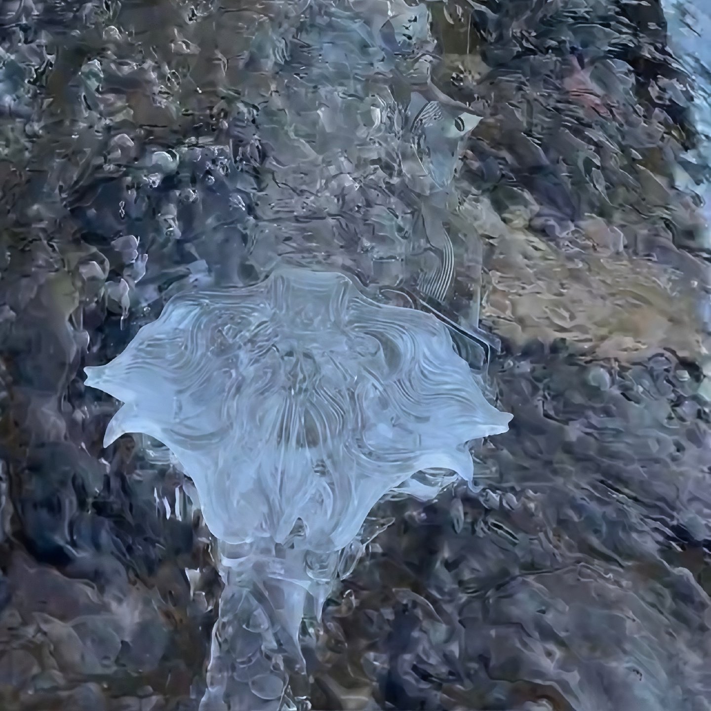 冰剑模具硅胶大号制作冰雕冰格透明网红剑道具东北旅游神器工具,厨房/烹饪用具,冰格/制冰袋,淘宝优惠券,粉丝福利购,淘宝优惠卷