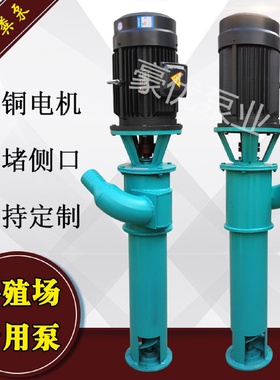 厂家直销绞龙抽粪泵鸡鸭猪养殖场螺旋泵化粪池排污泵泥浆泵蛟龙泵