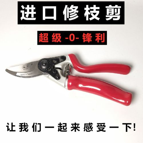包邮进口艺园剪刀剪树枝专用剪刀修枝剪园林果树修花家用sk5剪子