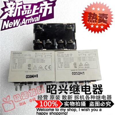G7L-2A-P 进口拆机 G7L-2A-P-80-CB 24VDC 20A继电器