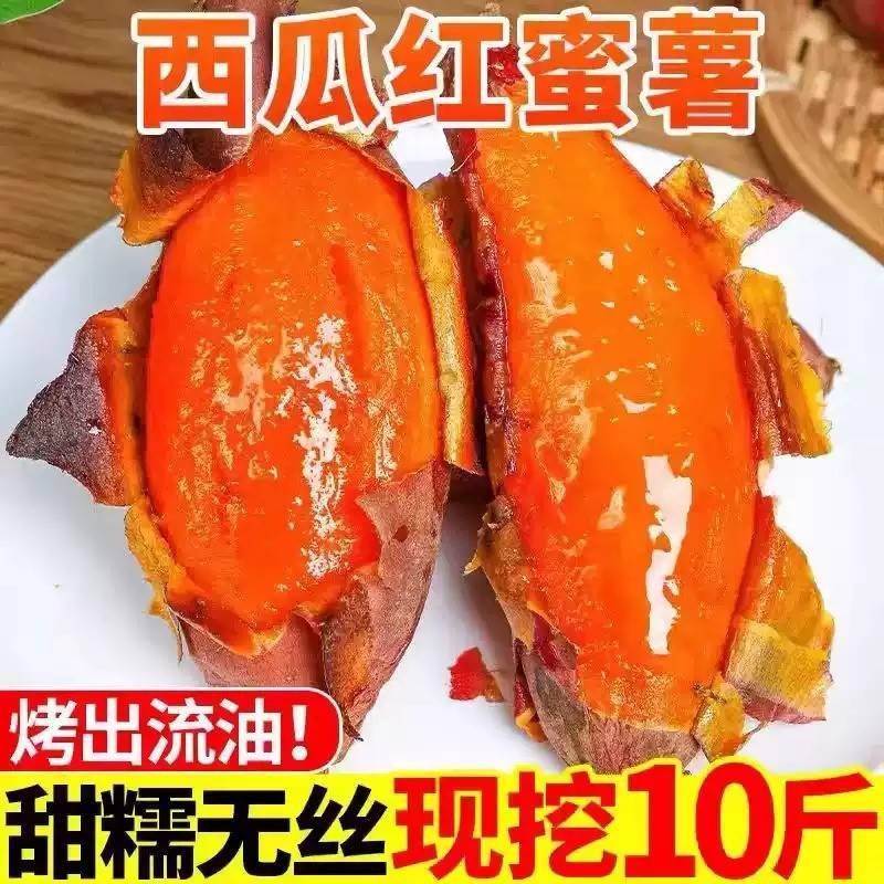 山东蜜薯烟薯25号农科院糖心地瓜红薯新鲜9斤农家番薯沙地烤山芋