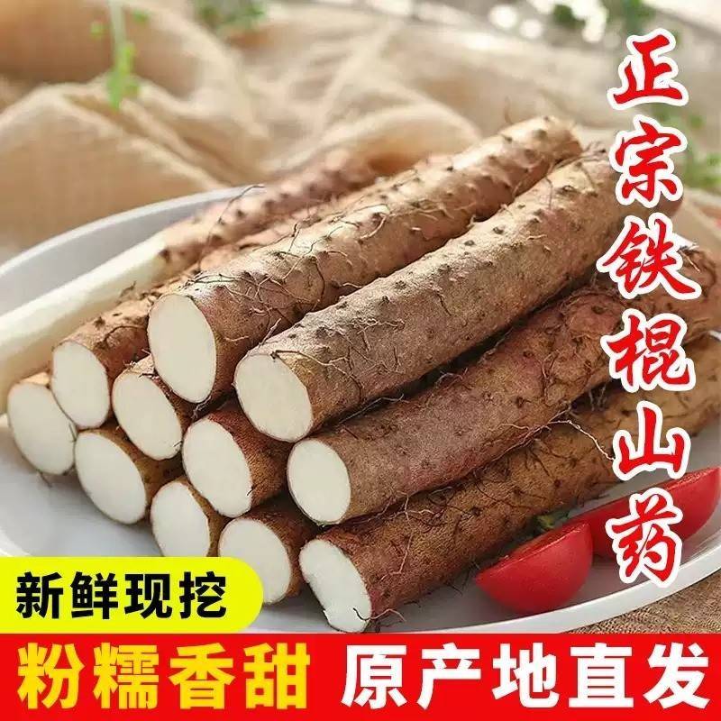 新鲜正宗铁棍山药5斤小白嘴山药河北土特产粉糯香甜淮山药包邮3斤