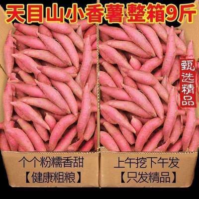 天目山小香薯5斤临安产地直销板栗小红薯新鲜食用地瓜手指番薯甜