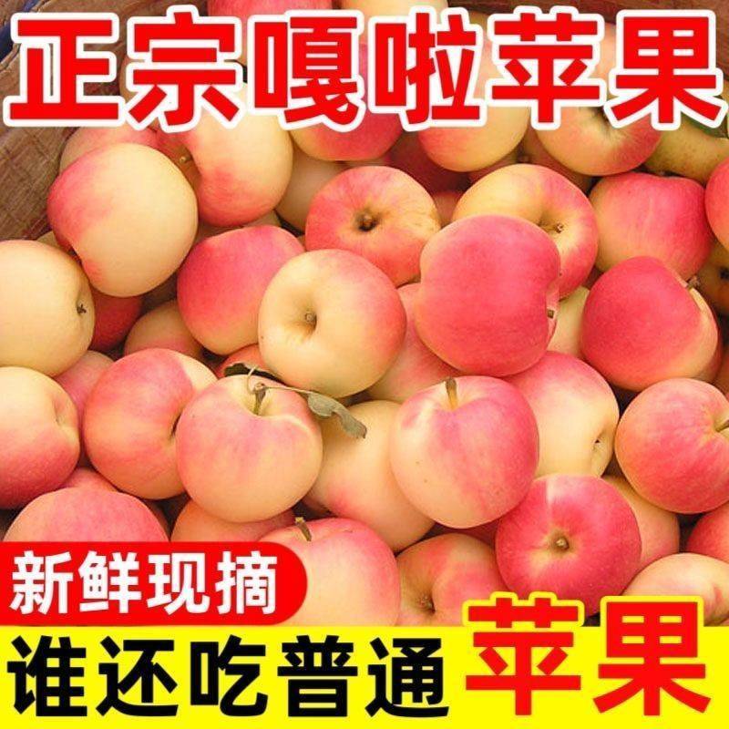 嘎啦苹果新鲜水果当季整箱10斤陕西红富士脆甜冰糖丑青小平果包邮