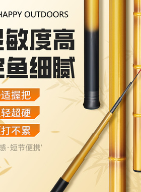 儿童溪流竿超轻短节鱼竿户外野钓鲫鱼新手钓鱼装备马口小物钓手竿