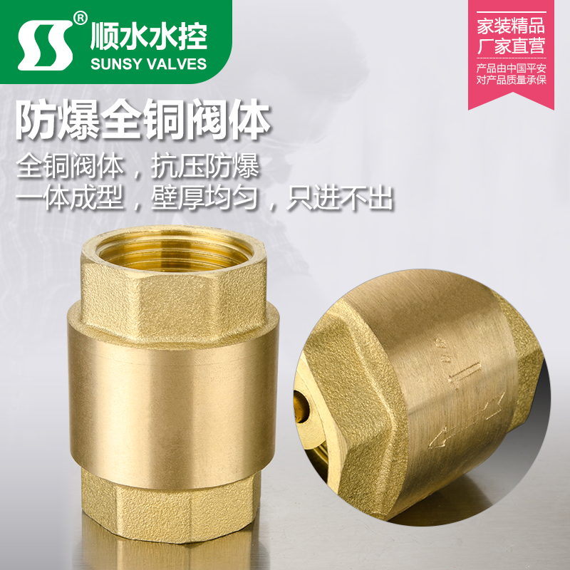 4分6分1寸全黄铜立式止回阀 水管水表止逆阀弹簧单向阀dn15 20 25