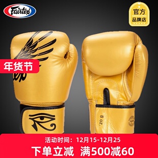 Fairtex 泰国正品拳击手套成人拳套泰拳BGV1金色翅膀搏击散打格斗