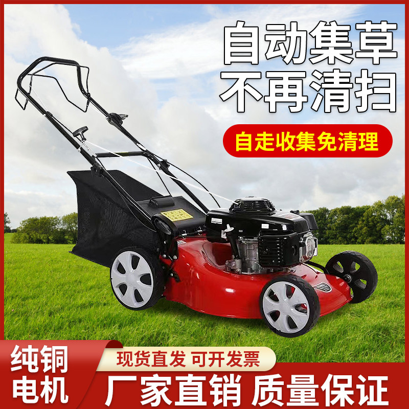 汽油割草机手推车式修剪机大功率草坪机自走割草机开荒除草机器,农机/农具/农膜,割灌机/割草机/油锯,淘宝优惠券,粉丝福利购,淘宝优惠卷