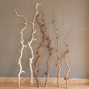 树藤藤条枯藤红山藤蔓仿真葡萄叶婚庆吊顶装饰植S物造景树枝干树