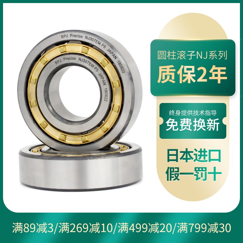 日本BPJ进口轴承 NJ1004 NJ1005 NJ1006 NJ1010 NJ1011 EM P4 P5