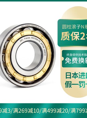 日本BPJ进口轴承 N203EM N204EM N205EM N206EM N207EM C3 P4 P5