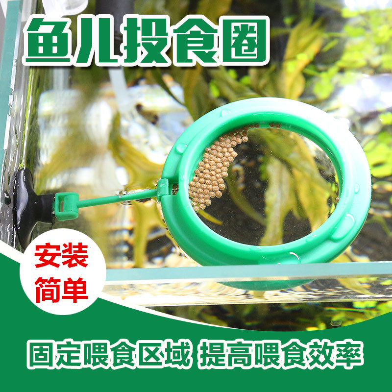 森森鱼食投喂圈观赏鱼投食圈鱼缸鱼儿喂食圈漂浮饲料喂食圈带吸盘