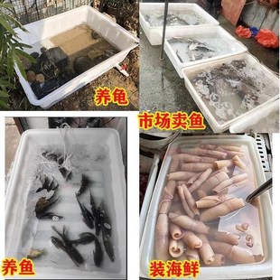 长方形牛筋箱泡瓷砖养龟浅盆加厚牛筋塑料水箱大号水产养殖养鱼箱