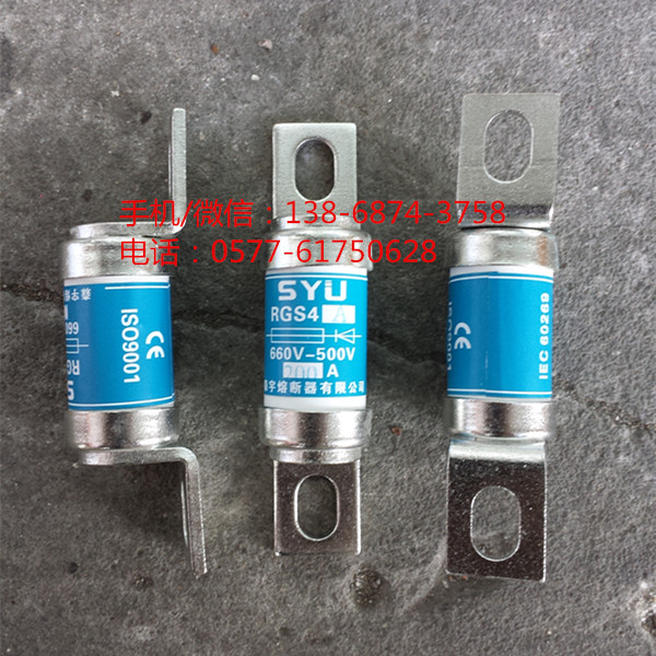 保险管 快速熔断器 RGS4A 125A 150A 160A 200A 660V 厚件 全铜