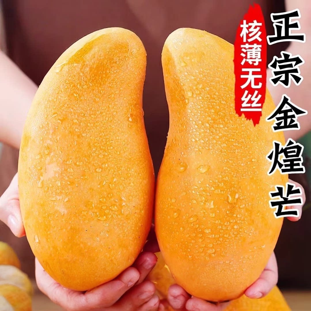 【下单立减30】正宗金煌芒芒果整箱新鲜应季孕妇水果批发包邮