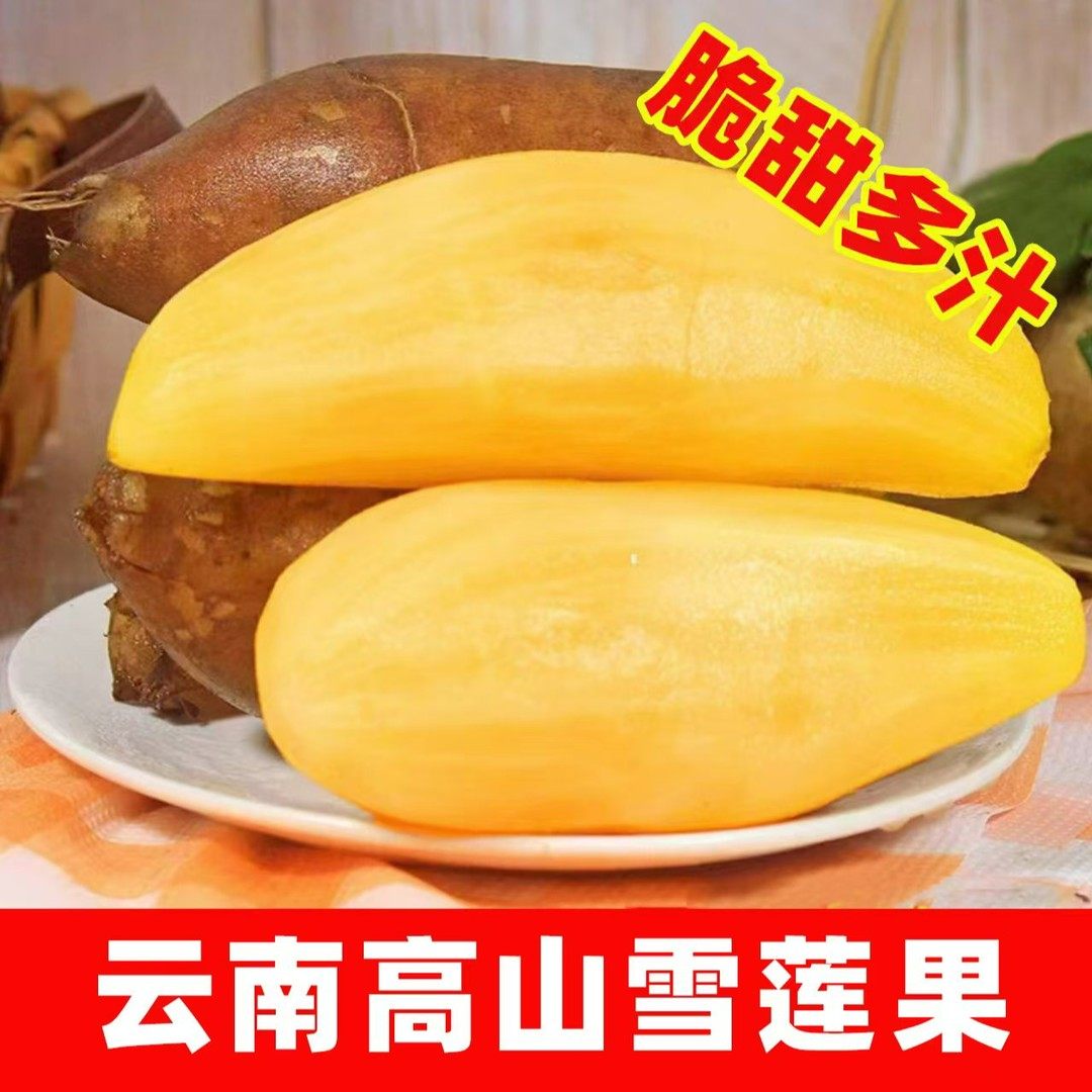 【低糖】云南天山雪莲果清甜脆爽多汁黄心新鲜应季水果现挖产地,水产肉类/新鲜蔬果/熟食,雪莲果,淘宝优惠券,粉丝福利购,淘宝优惠卷