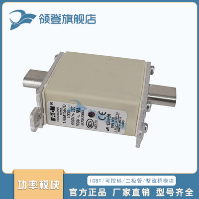 快速熔断器保险丝170M1565 1566 1567 1568 1569 1570 1571 1572