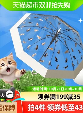 天玮伞业日系网红氛围感透明雨伞猫狗萌趣伞高颜值男女长柄伞