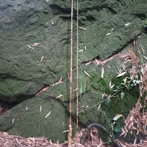 真竹子全竹鱼竿溪流池塘野钓竹鱼竿两米一两本并继竿大漆防腐防水