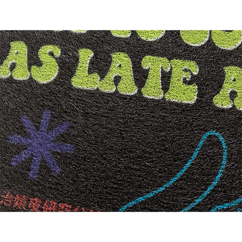 尽量晚一点投降 丝圈地垫地毯入户进门 公社计划经济部