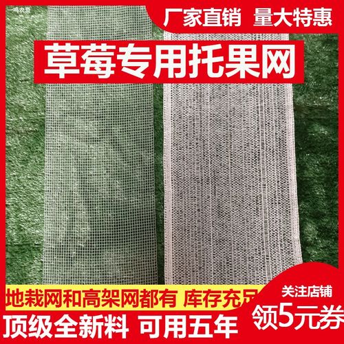 草莓托果网草莓隔离网高架托果网支架白色N遮阳网大棚地栽果托网