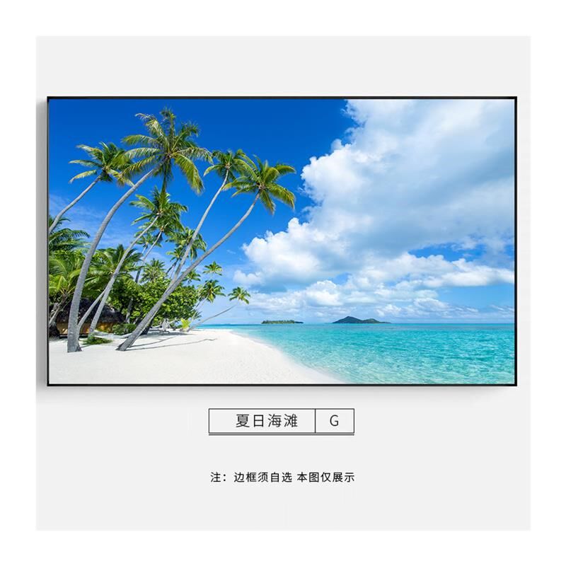 大海沙滩棕榈树椰树装饰画客厅沙发背景墙画餐厅卧室床头风景挂画