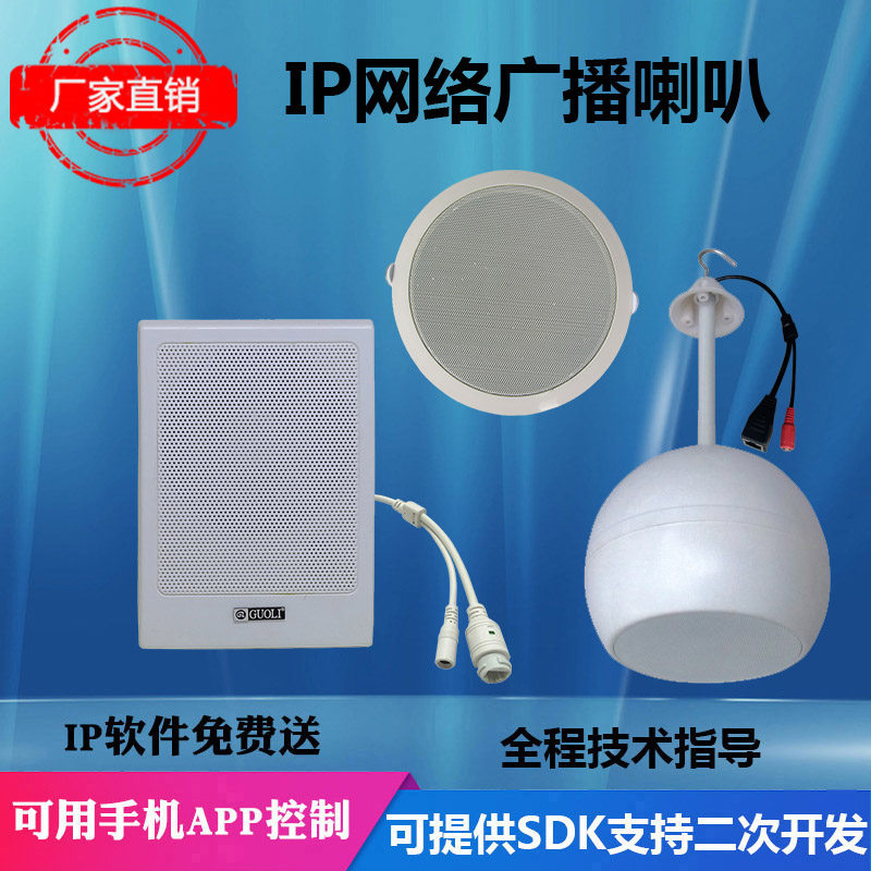 IP网络广播音箱网络公共广v播系统吸顶喇叭室内IP球形喇叭工程方