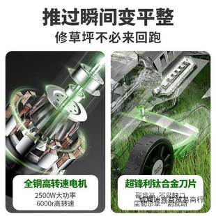 草修剪小型家用园林剪草电机插电割 博奥坪菲草坪机XAO动手机推式