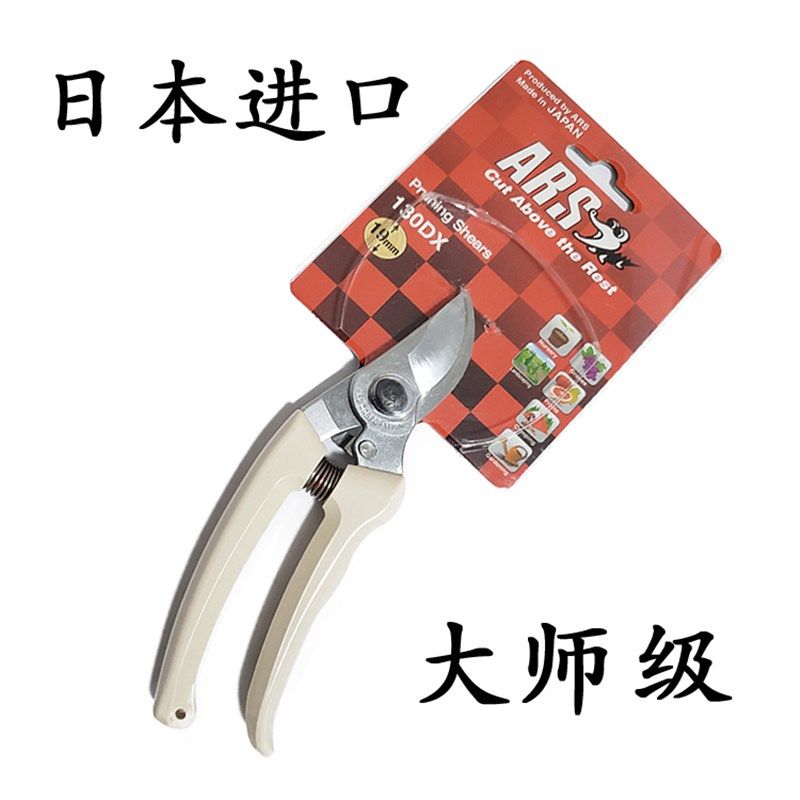 日本原装进口ARS爱丽斯爱丽丝修枝剪家用修剪树枝剪刀果树花剪子