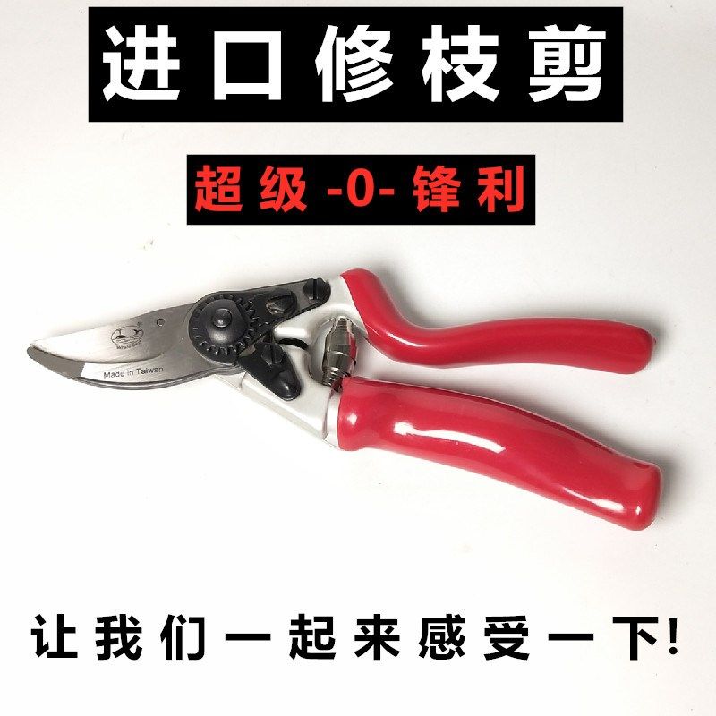 包邮进口艺园剪刀剪树枝专用剪刀修枝剪园林果树修花家用sk5剪子