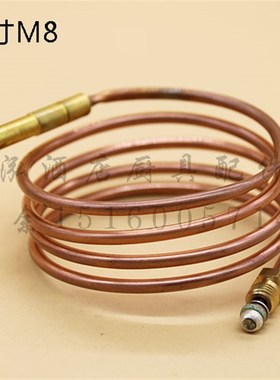 SIT伊莱克斯感应线蒸柜炒炉煲仔炉感温探头热电偶火种温度探头8MM