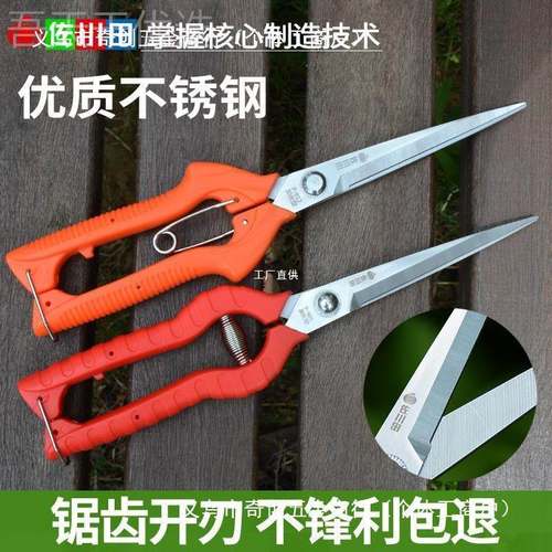 佐椒川田果园艺修剪枝采果剪摘剪花剪杞QAZ采摘工具枸果蔬剪刀花