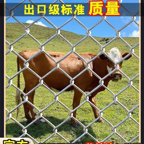 热镀锌菱形铁丝网勾花网养殖狗牛羊猪围栏养鸡防护网户外围栏网