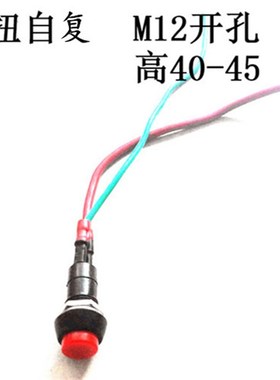按扭开关  自复带线  开孔12mm 3A 250VAC红色/绿色