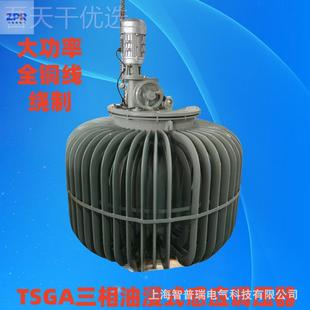 感应调压器 6维修式 30K油浸油式 160KVA三相TDJA 050V8 调压器TSJA