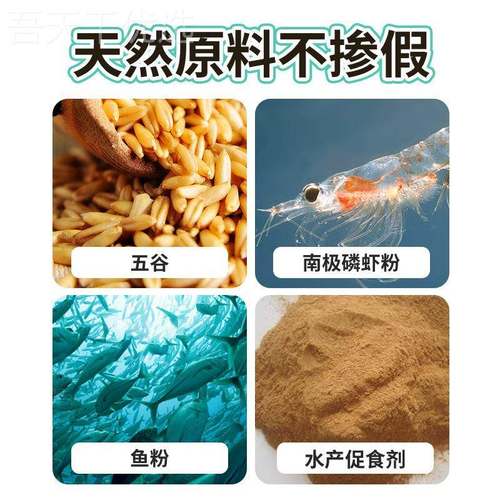 XiBBLb fe部ng/西风新鱼品牛B大鲫垂钓饵料窝u料内含维它米四季通