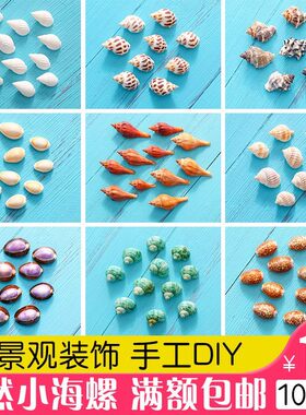天然小贝壳海螺多肉微景观摆件玻璃许愿瓶幼儿园手工diy材料装饰