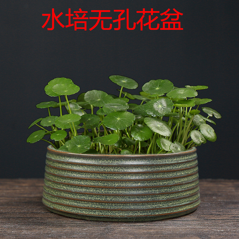 水仙铜钱草水培花盆碗莲荷花盆金钱草专用盆多肉无孔陶瓷大号清仓