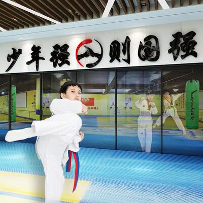 跆拳道馆文化墙贴体适能培训机构武术拳馆墙面背景墙壁纸贴画装饰