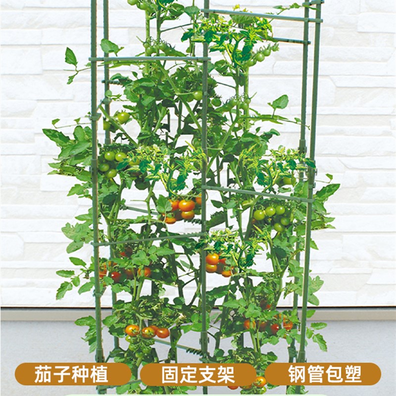 豆角黄瓜牵引固定架番茄支架种菜搭架篱笆杆爬藤架攀爬防倒支撑架