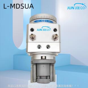 79转摆台气缸叶片式 旋T254180S MDSUA20 源L头厂家