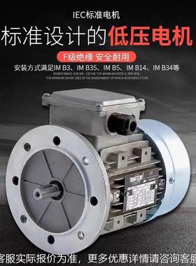 原意大利进口TRA873NST装ECO4诠世电机MS63BB5/0.18NKW