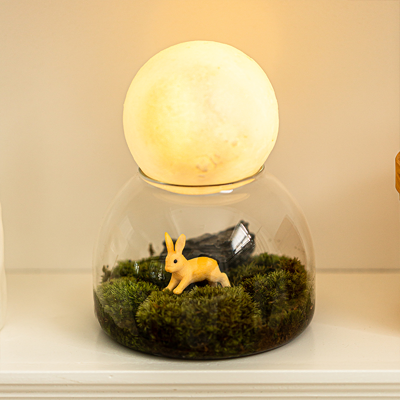 观月许愿瓶微景观草坪盆栽办公室桌面创意迷你摆件绿植中秋节礼物