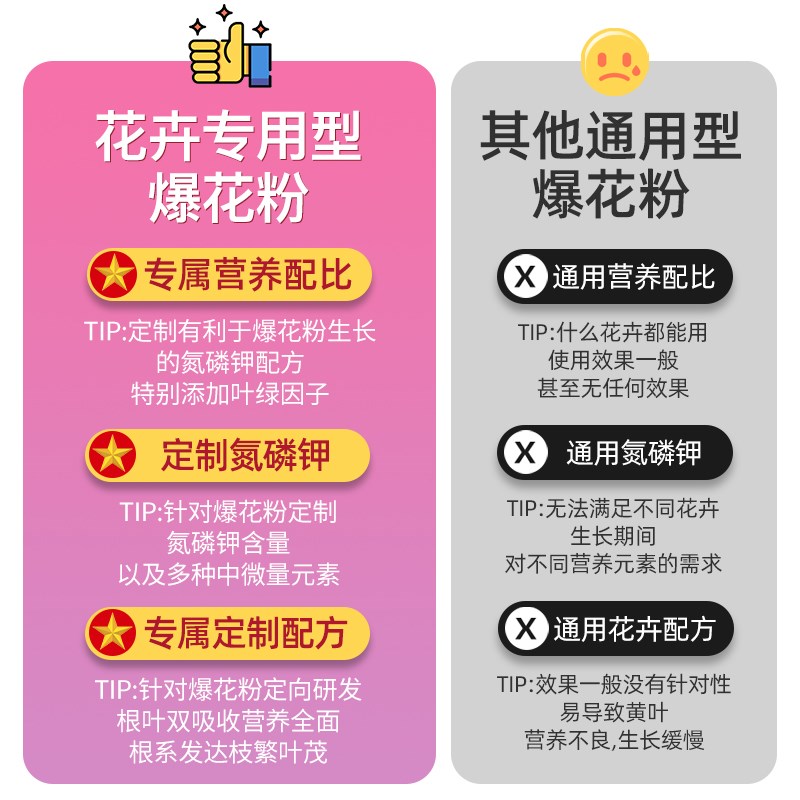 快速开花粉精高纯爆花粉家用三角梅花月季紫吊兰盆栽肥通用花肥料