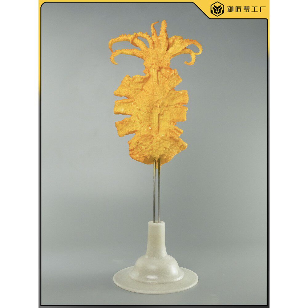 仿真轰炸大鱿鱼带底座模型仿真食品菜品模型仿真鱿鱼模型定做包邮