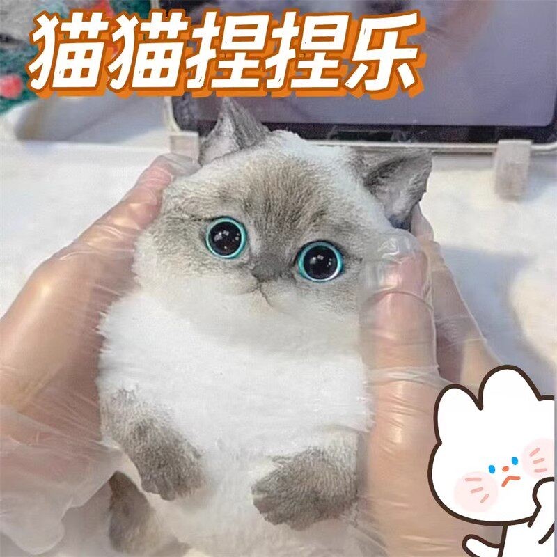 超大猫咪解压捏捏玩具高颜值萌宠超软捏捏乐慢回弹奇奇怪怪捏捏
