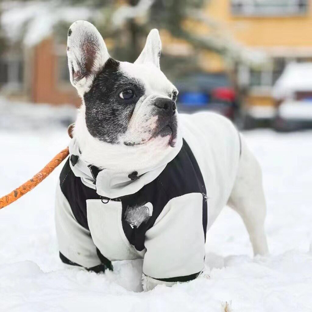 法斗专用冲锋衣狗狗秋冬款衣服斗牛犬秋冬季天保暖潮牌外套幼犬