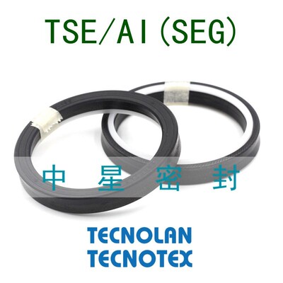 进口意大利液路坚TECNOTEX TSE/AI(SEG)活塞油封拉杆封油缸密封圈