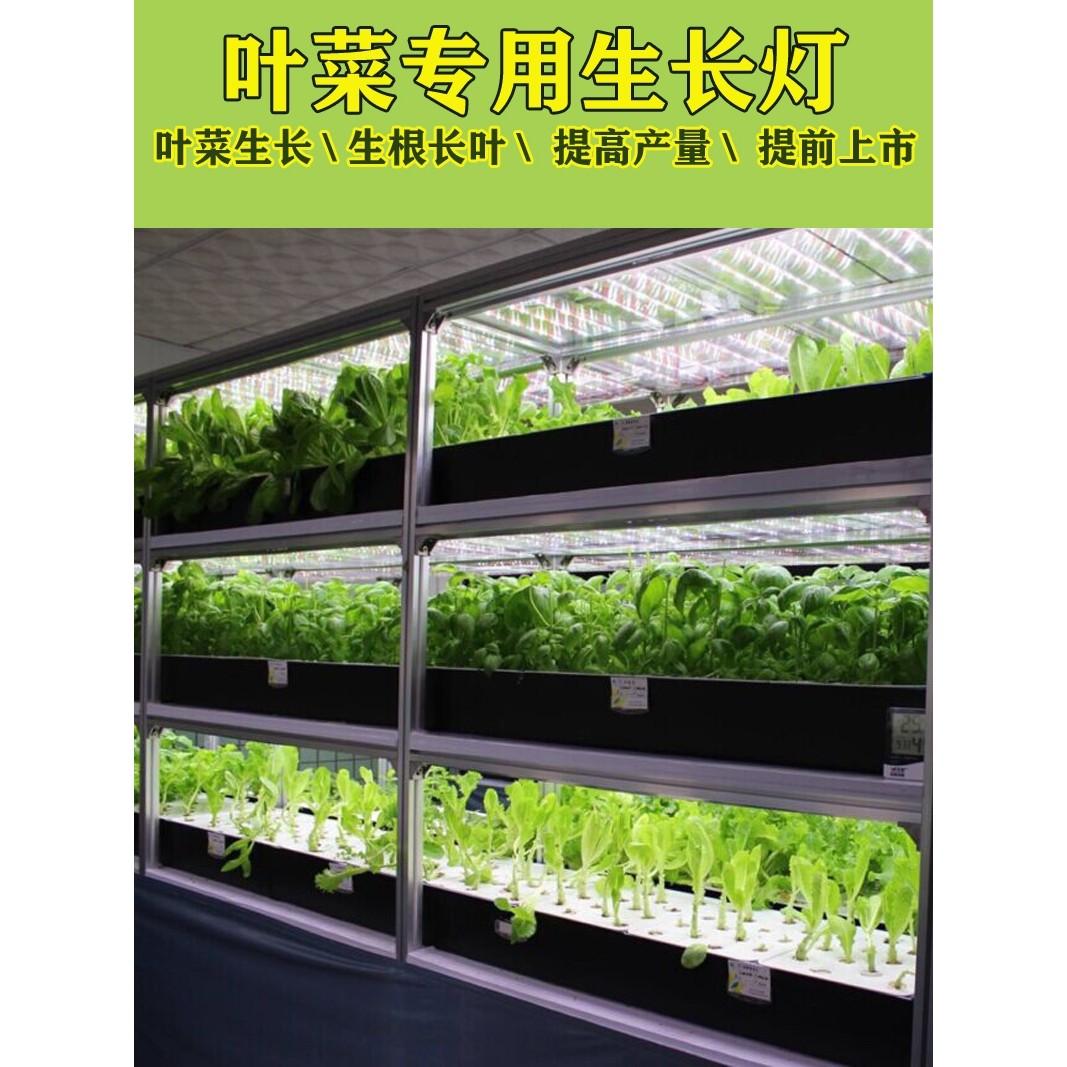 仿太阳白色全光谱组培室植物生长灯植物补光灯T8蔬菜瓜果组培育苗