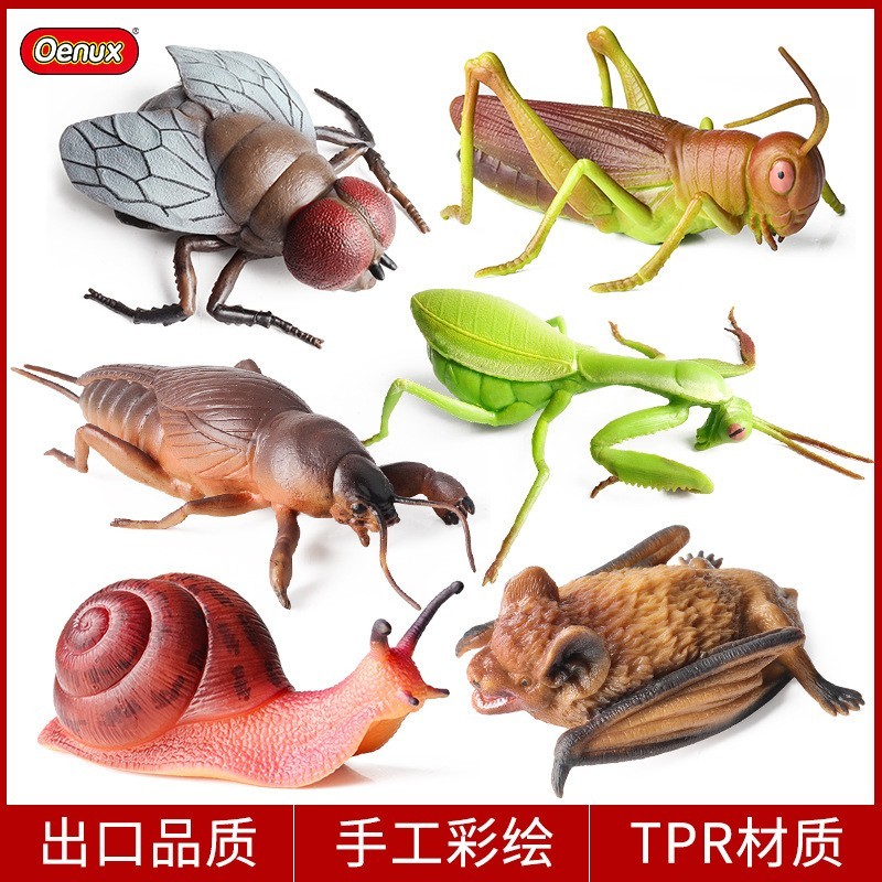 仿真昆虫模型软胶动物蜗牛蚱蜢螳螂蝙蝠儿童玩具认知摆件整蛊